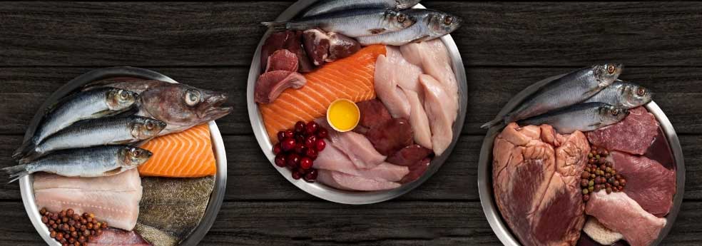 Sastojci koji se koriste za dobru Barf hranu za pse, meso, riba, jaja