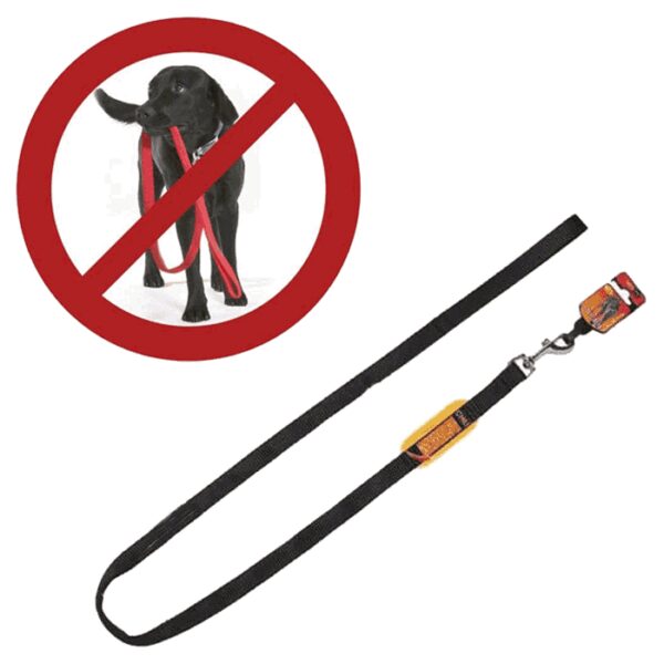 Povodac za pse: Patento Pet Povodac koji psi ne mogu da grizu Anti Bite