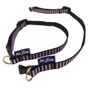 Ogrlice za pse: Pet Line Ogrlica za pse Apricot Toy Poodle