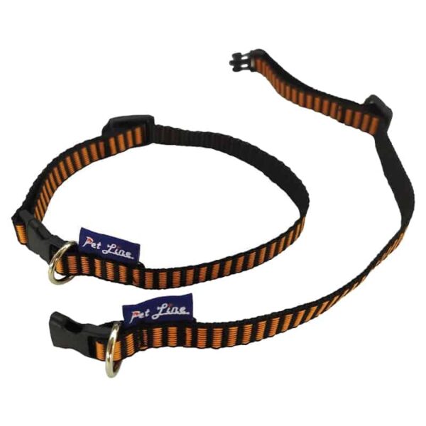 Ogrlice za pse: Pet Line Ogrlica za pse Toy Fox Terrier