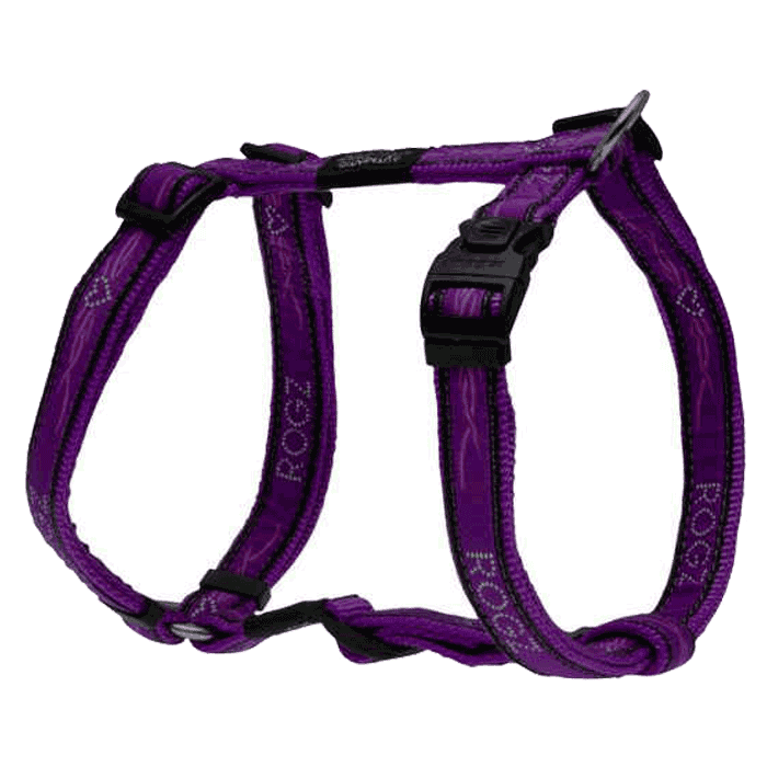 Amovi za pse: Rogz Am za pse Purple Chrome