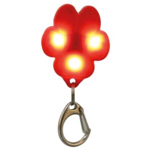 Pločice za ime i privresci: Trixi USB Flasher Svetleći privrezak