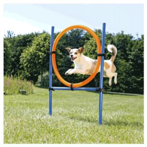 Trening i dresura pasa: Trixie Agility krug