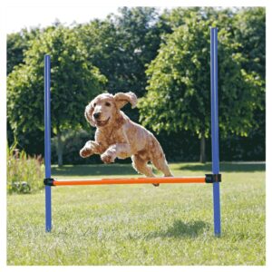 Trening i dresura pasa: Trixie Agility prepona