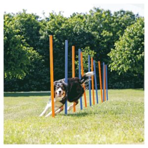 Trening i dresura pasa: Trixie Agility prepreke