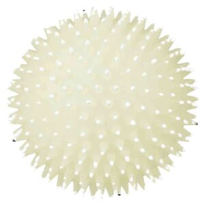 Igračke za pse: Trixie Fluorescentnaa ježasta lopta