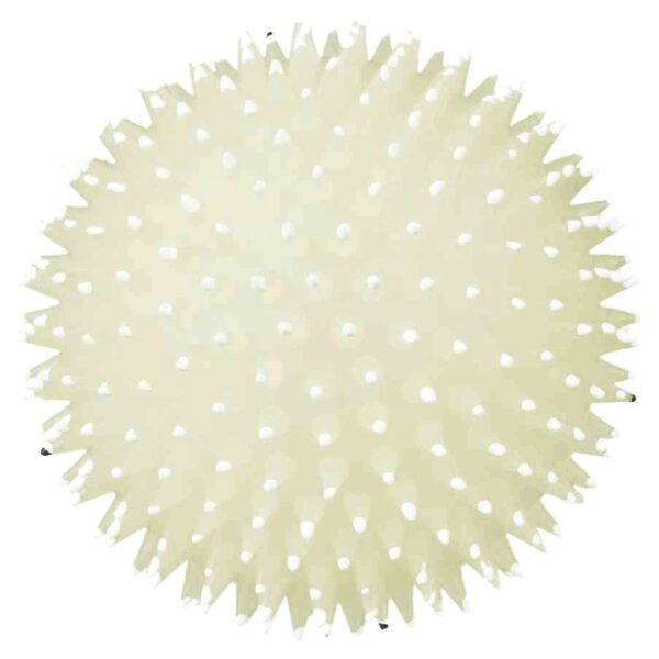 Igračke za pse: Trixie Fluorescentnaa ježasta lopta