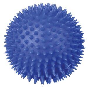 Igračke za pse: Trixie Ježasta lopta od vinila
