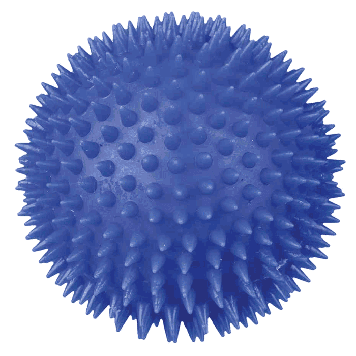 Igračke za pse: Trixie Ježasta lopta od vinila