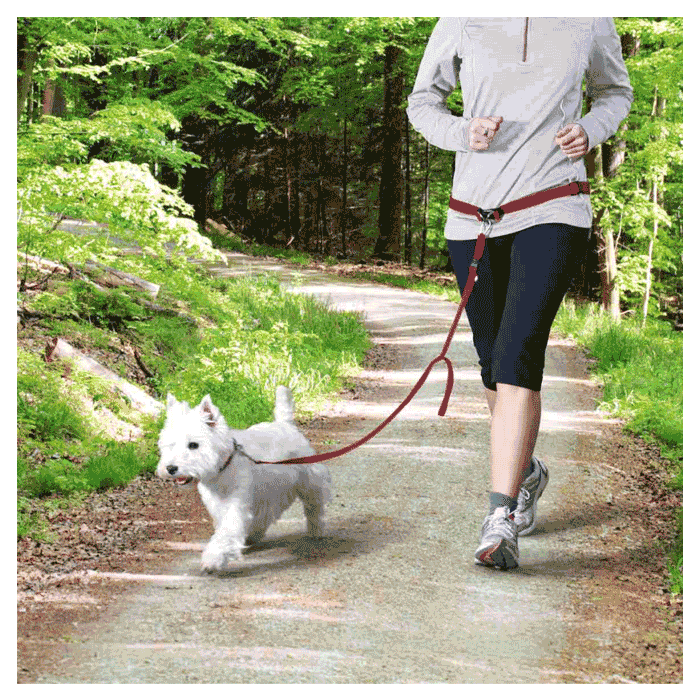 Povodac za pse: Trixie Kaiš sa povodcem za male i srednje rase