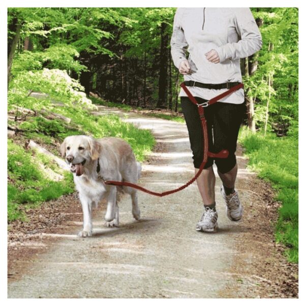 Povodac za pse: Trixie Kaiš sa povodcem za srednje i velike pse