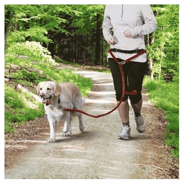 Povodac za pse: Trixie Kaiš sa povodcem za srednje i velike pse