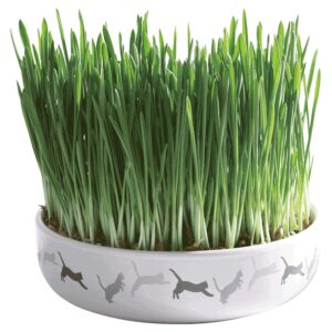 Ostali preparati za mačke: Trixie Keramička činija sa mačjom travom