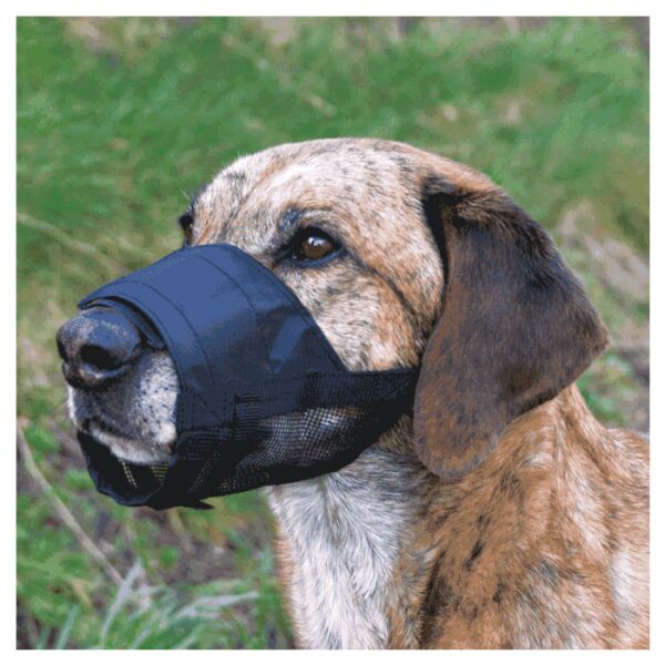 Korpe za pse: Trixie Korpa za pse sa mrežastom podlogom