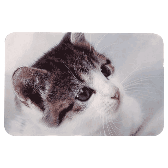 Posude za hranu i vodu: Trixie Podmetač za posude