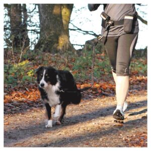 Povodac za pse: Trixie Povodac Hands Free