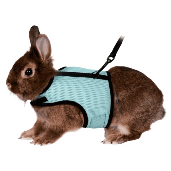 Povodci i amovi za glodare: Trixie Povodac i konforni am za zeca