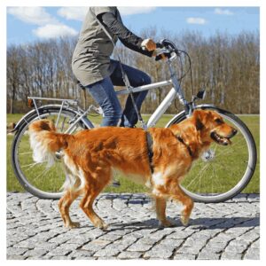 Povodac za pse: Trixie Povodac za bicikl i džogiranje