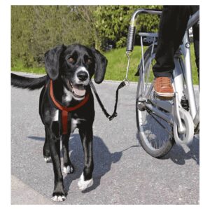 Povodac za pse: Trixie Set za bicikl De Luxe