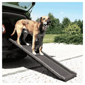 Oprema za pse za auto i bicikl: Trixie Sklopiva rampa za pse