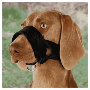 Korpe za pse: Trixie Traka za njušku