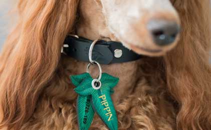 Pločice za ime i privresci