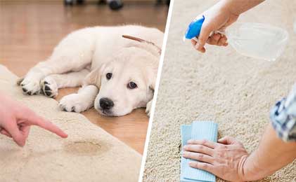 Sredstva za čišćenje