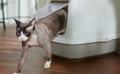 Toaleti i posude za posip