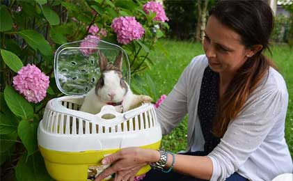 Transporteri za glodare