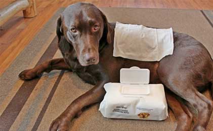 Vlažne maramice za pse