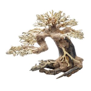 Drvo za akvarijumBonsai drvo za akvarijum
