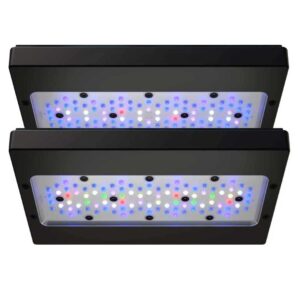 Rasveta za morski akvarijum: Ecotech Radion