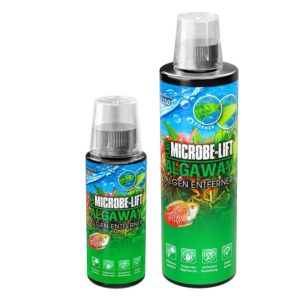 Algicidi: Arka Algaway