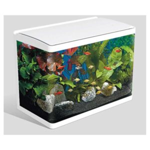 Fabrički akvarijumi: Atman xr akvarijum